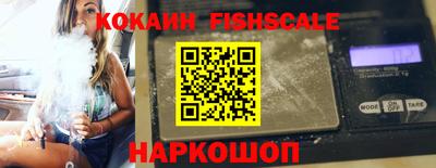 индика Сланцы