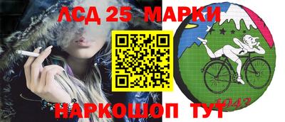 индика Сланцы