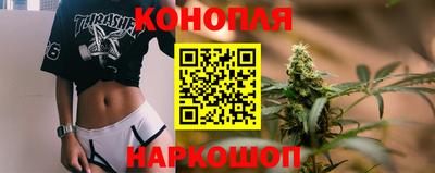 индика Сланцы