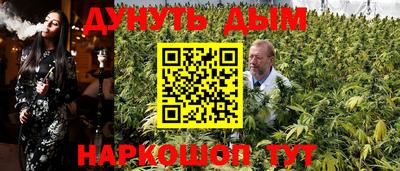 индика Сланцы