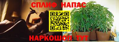 индика Сланцы