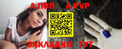 индика Сланцы