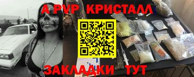индика Сланцы