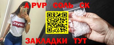 индика Сланцы