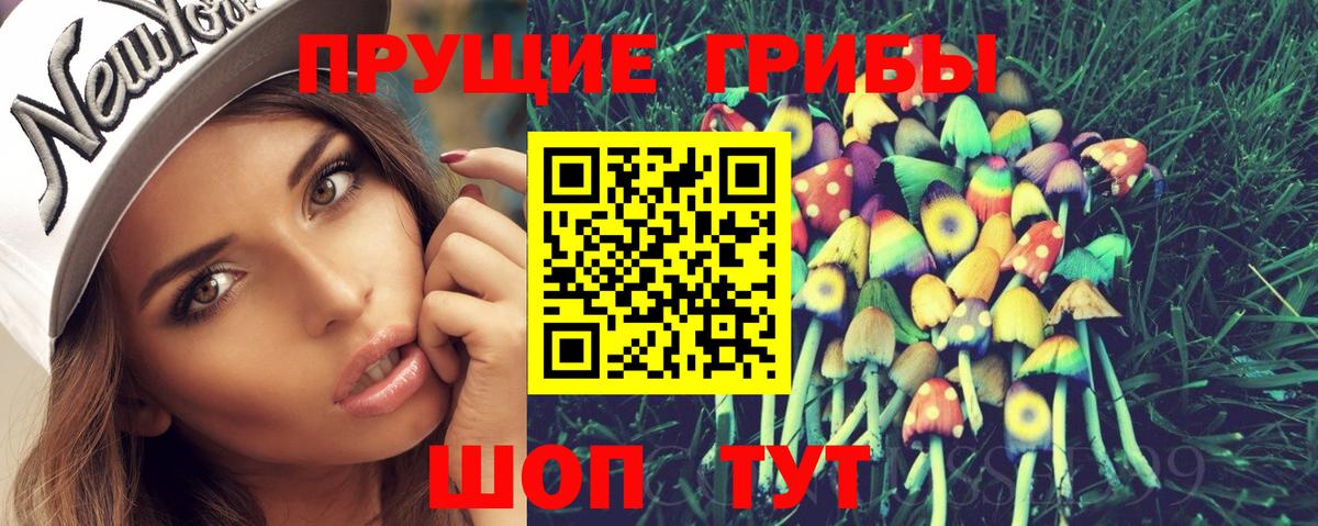 Псилоцибиновые грибы прущие грибы  сколько стоит  Ростов Великий  Вход с VPN 